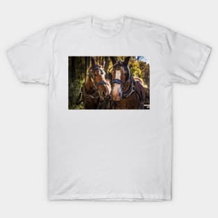 Horse Pride 1 T-Shirt